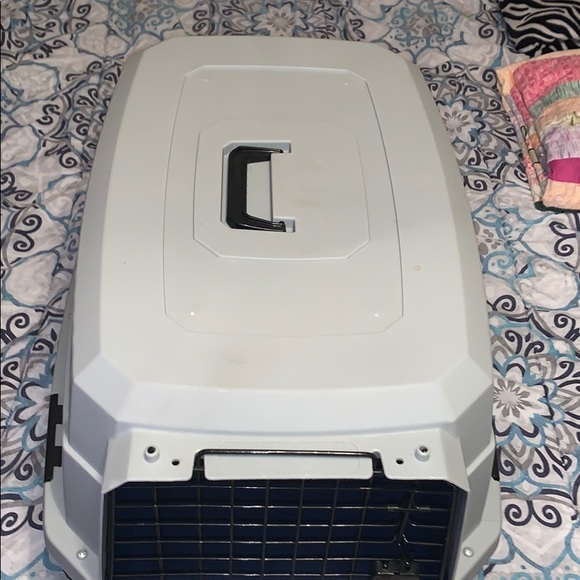 A small/medium dog - Picture 2 of 5